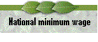 National minimum wage levels